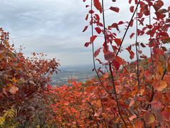 -香山公园