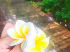 -亚马逊丛林水乐园