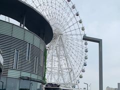 -琴岛之星摩天轮