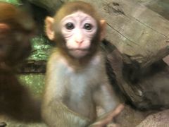 -福州罗源湾海洋世界旅游区