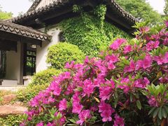 -惠山古镇·寄畅园