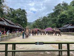 -西双版纳勐泐文化旅游区