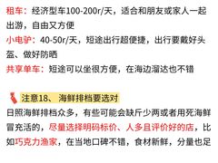 -日照海滨国家森林公园