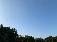 -南宁南湖公园