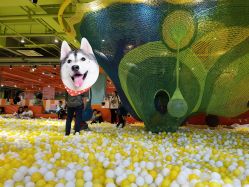 -宝燕乐园(闵行旗舰店)