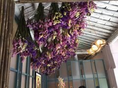 -喵屿·大理花园猫咖