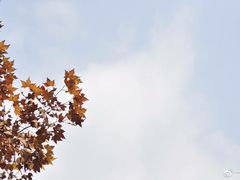 -四川大学(望江校区)