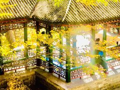 -颐和园