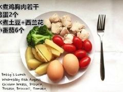 -金吉鸟健身游泳