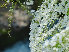 -中国茶叶博物馆(双峰馆区)