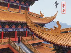 -东莞市大岭山森林公园
