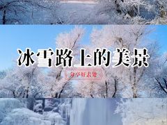 -雾凇岛