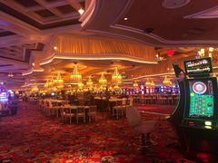 -拉斯维加斯永利酒店