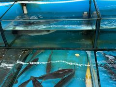 -西门岛码头海鲜馆