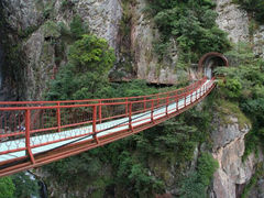 android_upload_pic-旗山国家森林公园