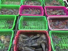 -众味海鲜大排档·活海鲜·潮汕味(南澳店)