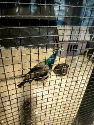 点击看大图 -酷嗒动物文化乐园(cutezoo西溪乐天城店)