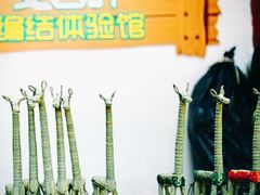 茭白叶长颈鹿-练塘古镇