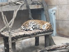 -西安秦岭野生动物园
