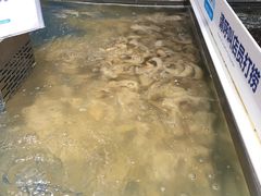 -盒马鲜生(莱蒙都会店)