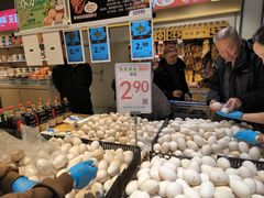 -高新活力汇Vitality