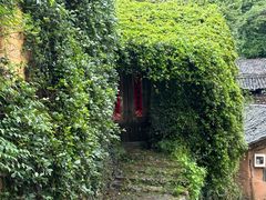 -杨家堂村
