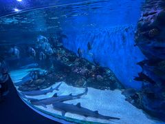 -海合安成都极地海洋公园