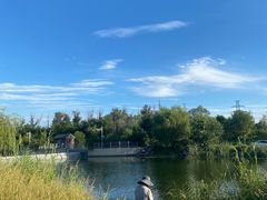 -马家湾湿地公园