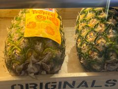 -树夏(成都招商大魔方店)