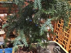 -喜来顺(悦合店)
