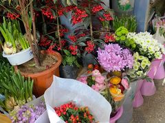 -宝鸡东道花鸟鱼虫市场(吉利花园商场店)