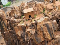 -昆明动物园