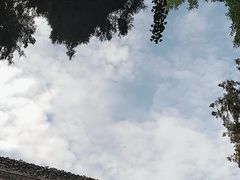 -西京医院