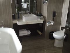 -常州环球恐龙城维景国际大酒店