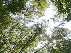 -热高乐园巴厘岛水世界