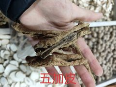 -杭州冷冻食品交易市场