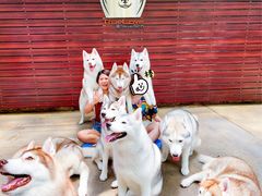 -TrueLove @ Neverland (Husky Cafe)