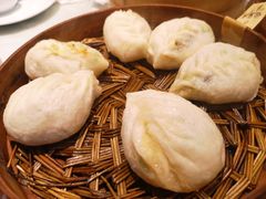 西葫芦素包子半龙-包子大王(新泽巷店)