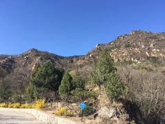 -北京鹫峰国家森林公园