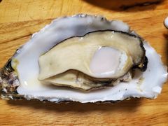 原只蒸生蚝-蚝得喜海鲜(东城店)