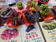 -马陆小张葡萄园农家乐