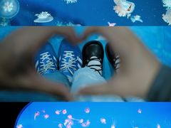 -合肥海洋世界