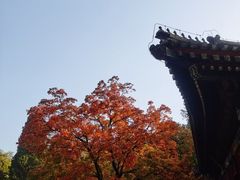 -香山公园