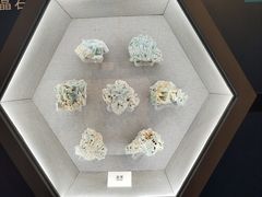 -贵州省地质博物馆