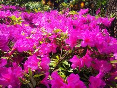 -蜀冈西峰生态公园