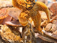 -五谷丰登·胶东海鲜·家常菜(张村店)