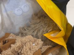 -全心全意连锁动物医院·微创中心·内科急重症·心脏专科(丰管路店)