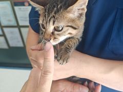 -博特宠物医院24h犬猫全科.骨科·异宠