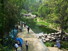 -白水寺森林公园
