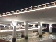 -演武大桥观景平台